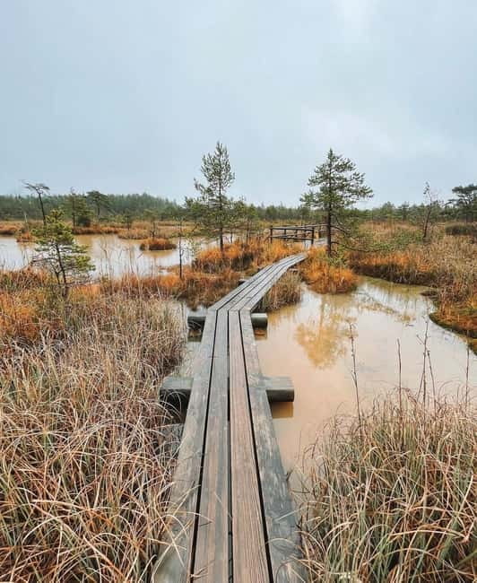 Kemeri National Park Guided Tour - Approaching Kemeri National Park from Riga
