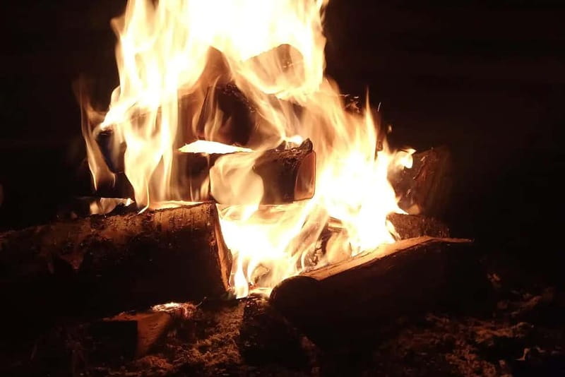 Kemi-Tornio: Evening campfire on the island - The Excursion Starts at Sea Lapland Safaris in Kemi