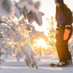 Kemi-Tornio: Nature tour with snowshoes - Snowshoeing into the Finnish Wilderness from Kemi