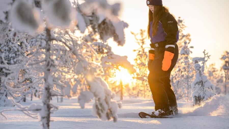 Kemi-Tornio: Nature tour with snowshoes - Snowshoeing into the Finnish Wilderness from Kemi