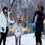 Kemi-Tornio: Reindeer farm experience - What’s Included in the Reindeer Farm Experience?