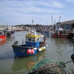 Kent Coast with Canterbury: Road Trip Online Travel Guide - Whitstable’s Seaside Appeal and Fresh Oysters
