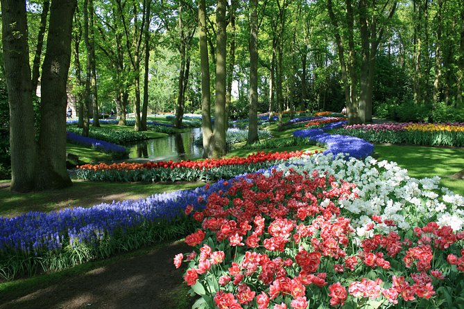 Keukenhof and Flower Fields Private Tour from Amsterdam - A Fully Guided Visit to Keukenhof Gardens