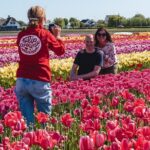 Keukenhof Gardens & Tulip Experience Tour from Amsterdam - The Scenic Drive Through Dutch Countryside