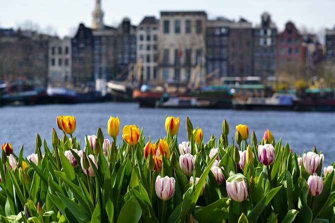 Keukenhof & Zaanse Schans (Best of Holland with windmill) Guided Tour with local - Key Points