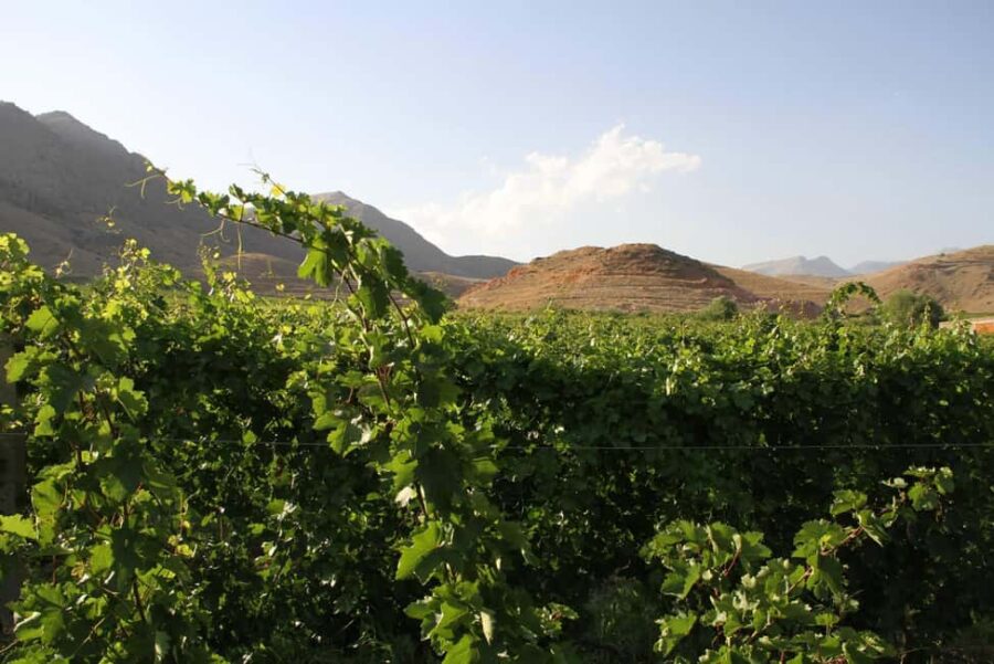Khor Virap and Noravank Monasteries Tour - Noravank Monastery in a Picturesque Canyon