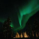 Kierinki Village: Snowmobile Sleigh Ride with Guide - Exploring the Uninhabited Wilderness of Kierinki