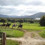 Killarney National Park Horseback Ride. Co Kerry. Guided. 1 hour. - All Levels Welcome: From Beginners to Experienced Riders