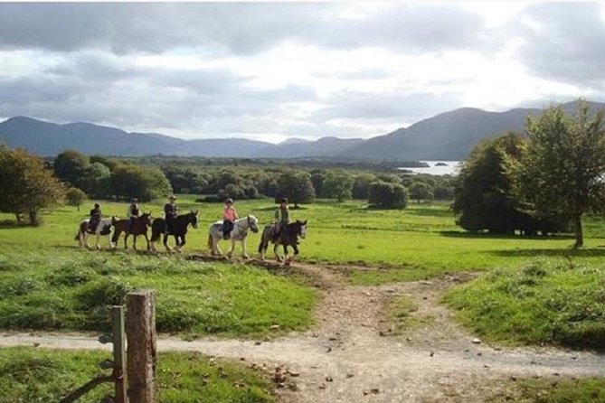 Killarney National Park Horseback Ride. Co Kerry. Guided. 1 hour. - All Levels Welcome: From Beginners to Experienced Riders