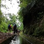 Kings Levada - São Jorge - The Guide and Group Experience