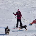 Kiruna: Cross-Country Skiing Tour with a Guide - What to Expect During the Cross-Country Skiing Tour