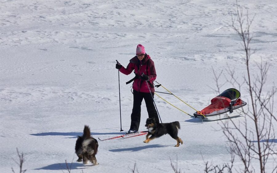 Kiruna: Cross-Country Skiing Tour with a Guide - What to Expect During the Cross-Country Skiing Tour