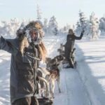 Kiruna: Drive Your Own Team Lunch Tour - Kiruna’s Top Dog Sledding Experience with a Personal Touch
