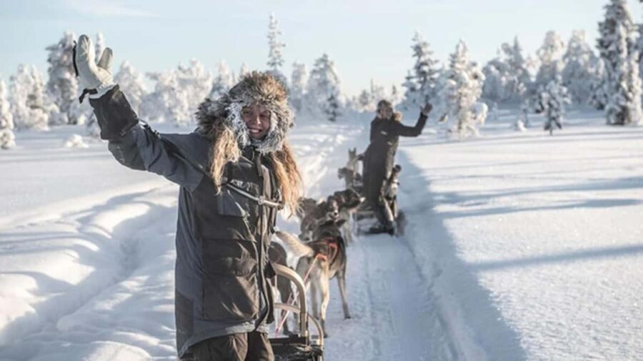 Kiruna: Drive Your Own Team Lunch Tour - Kiruna’s Top Dog Sledding Experience with a Personal Touch