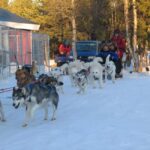 Kiruna: Family-friendly Short Husky Tour with Coffee - Coffee, Sandwiches, and a Scenic Fire Stop in Nature