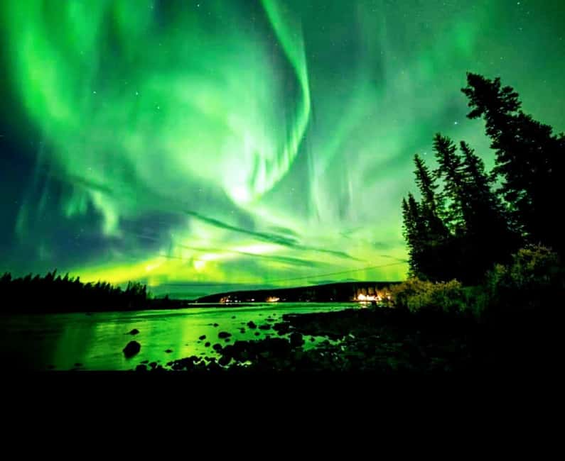 Kiruna: Northern Light Short Husky Tour with Coffee - Viewing the Northern Lights in the Arctic Wilderness