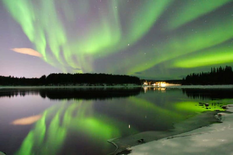 Kiruna: Northern Lights Dog Sled Tour with Swedish Fika - Meeting the Huskies and Getting Ready for the Ride