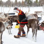 KIRUNA: Reindeer Sled Ride in the Countryside - Starting Point and Transportation Details in Kiruna