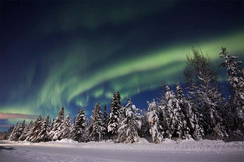 Kiruna: Snowshoe Trek with Aurora Hunt and Warm Beverage - The Aurora Hunt in the Wilderness