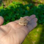 Knossos Palace Private Walking Tour - The Expertise of the Guide and Personalized Experience