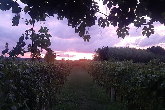 Konavle Gastro Tour From Dubrovnik - Authentic Croatian Meal at Konoba Vinica Monkovic