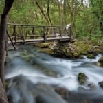 Konavle Private Countryside Experience with Wine & Spirits - Exploring Authentic Village Life in Konavle