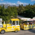 Konavle Valley: Tour with Wine Tasting from Dubrovnik - Visiting Wineries and Tasting Award-Winning Croatian Wines