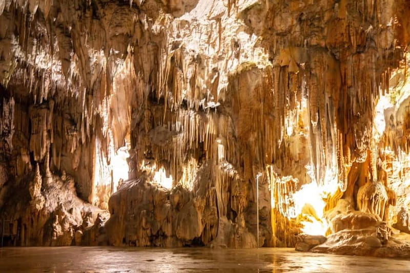 Koper: Postojna Cave and Predjama Castle Tour and Tickets - Inside Postojna Cave: An Underground Wonder