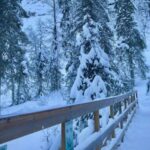 Korouoma: Frozen Waterfall Hiking Tour - Pickup and Transportation from Rovaniemi