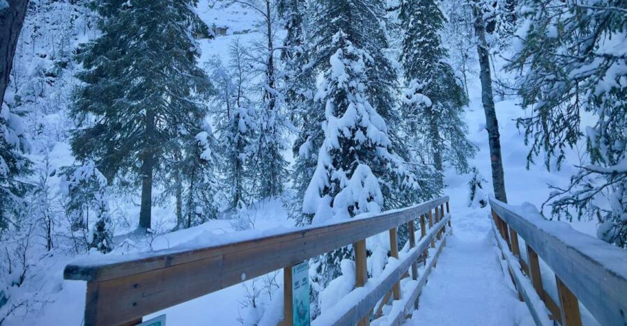 Korouoma: Frozen Waterfall Hiking Tour - Pickup and Transportation from Rovaniemi