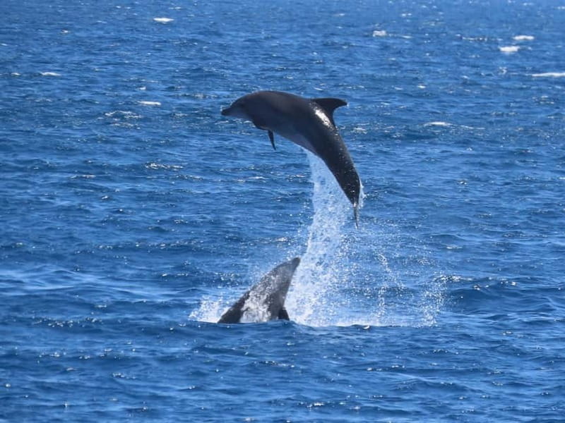 Kos: 3-Island Cruise with Lunch and Hotel Transfer - The Stunning Wooden Yacht: Comfort and Style at Sea