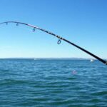 Kos: Fishing Trip Experience with a Greek Fisherman's Family - Departing from Kos Port at Dolphin Square