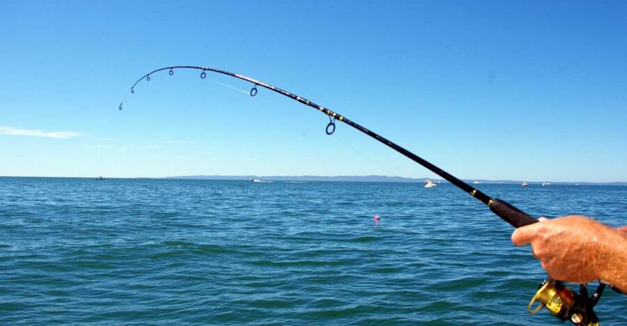 Kos: Fishing Trip Experience with a Greek Fisherman's Family - Departing from Kos Port at Dolphin Square