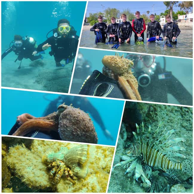 Kos: Scuba Diving Experience with Hotel Pickup - Convenient Hotel Pickup in Kos for a Hassle-Free Experience