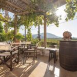 Kos: Wineries Tour w/ Wine Tastings & Transportation - Exploring the Wineries: Hatziemmanouil and Ktima Akrani