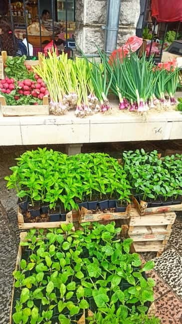 Kotor: 3H Food Tour - The Tour Starts at the Sea Gate of Kotor Old Town