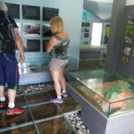 Kotor: Skadar Lake National Park with Wine Tasting - From Kotor to the Shores of Skadar Lake