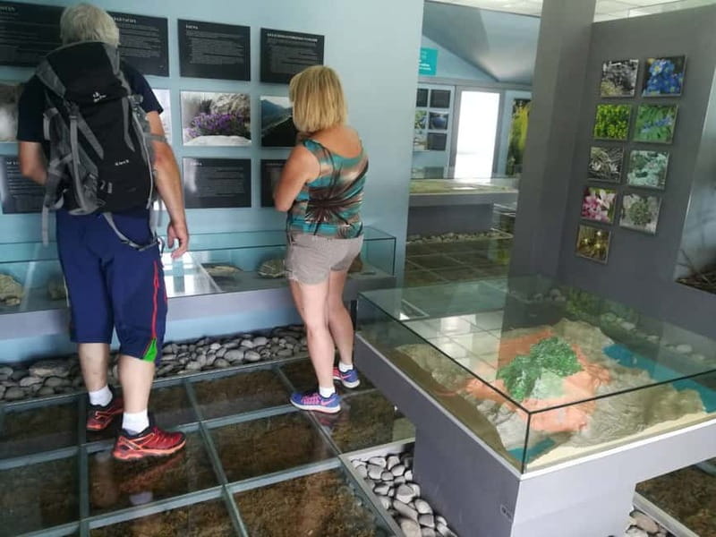 Kotor: Skadar Lake National Park with Wine Tasting - From Kotor to the Shores of Skadar Lake