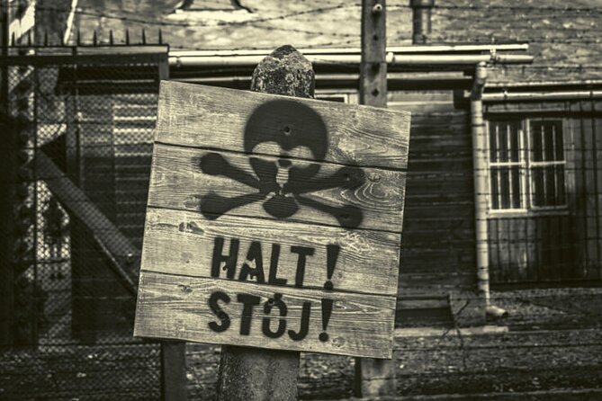 Krakow and Auschwitz Small Group Tour from Warsaw with Lunch - Krakow Old Town: From Wawel Hill to the Market Square