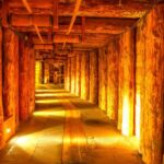 Krakow: Auschwitz-Birkenau and Wieliczka Salt Mine Day Trip - From Krakow to Auschwitz-Birkenau: A Journey into History