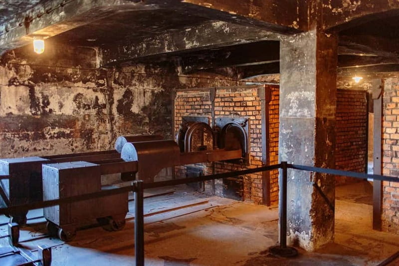 Krakow: Auschwitz-Birkenau Entry Ticket and Transfer - The Journey to Auschwitz-Birkenau