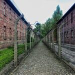 Krakow: Auschwitz-Birkenau Guided Tour with Hotel Transfer - Exploring Birkenau: The Largest Part of the Camp
