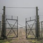 Kraków: Auschwitz-Birkenau & Salt Mine Full-Day Guided Tour - Visiting Auschwitz I and Birkenau: A Deeply Moving Experience