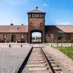 Krakow: Auschwitz-Birkenau & Wieliczka Salt Mine Day Tour - Exploring the Wieliczka Salt Mine: A Surprising Beauty