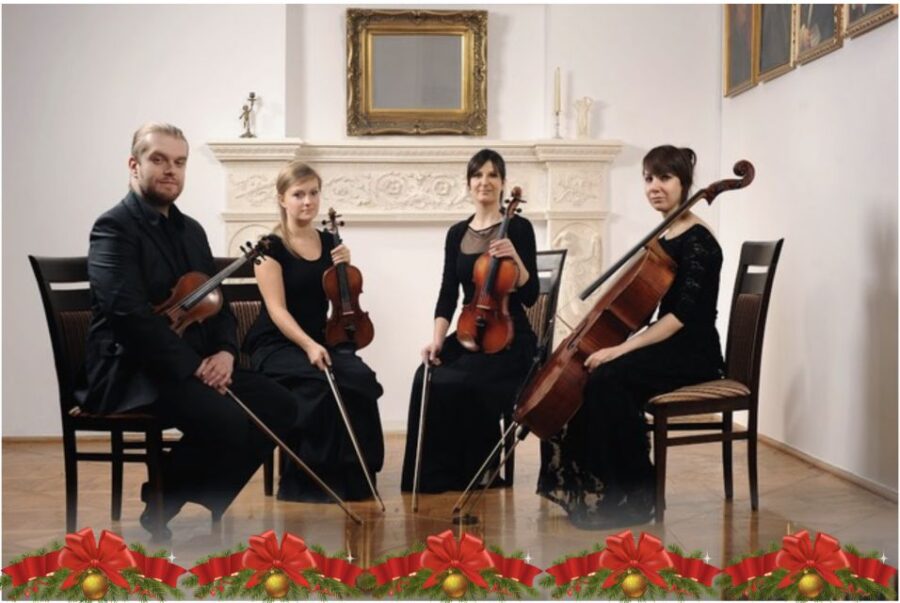 Krakow: Christmas Music Concert With Wine - The Talented Royal Chamber Orchestra: Krakow’s Finest Musicians