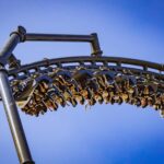 Krakow: Energylandia Theme Park Full-day Entrance & Transfer - Discovering Energylandia’s Thrilling Roller Coasters