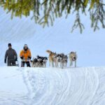 Kraków Full Dog Sled Ride - From Krakow to the Tatra Mountains: The Scenic Journey
