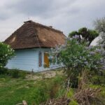 Krakow: Guided Day Tour of Zalipie Village & Museum Entry - Who Should Consider This Tour