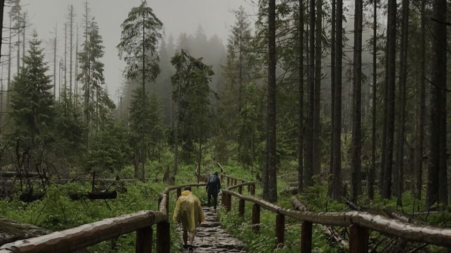 Krakow: Hiking Adventure in Tatra Mountains & Thermal Baths - Starting Point and Logistics in Krakow