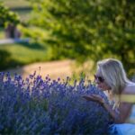 Kraków: Private Lavender Fields & Vineyard Tasting Tour - Starting the Day with a Scenic Drive from Kraków
